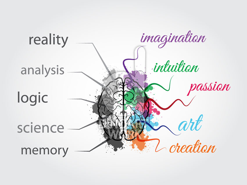Brain Functions