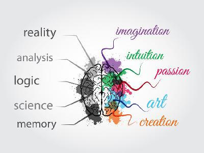 Brain Functions